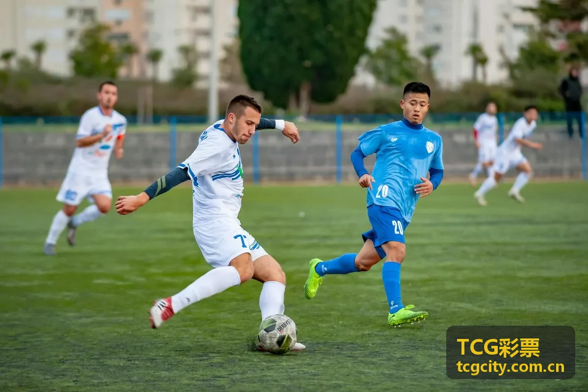 TCG彩票分析师李芳